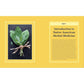 A Beginner's Guide to Native American Herbal Medicine: 75 Natural Remedies for Wellness and Balance
