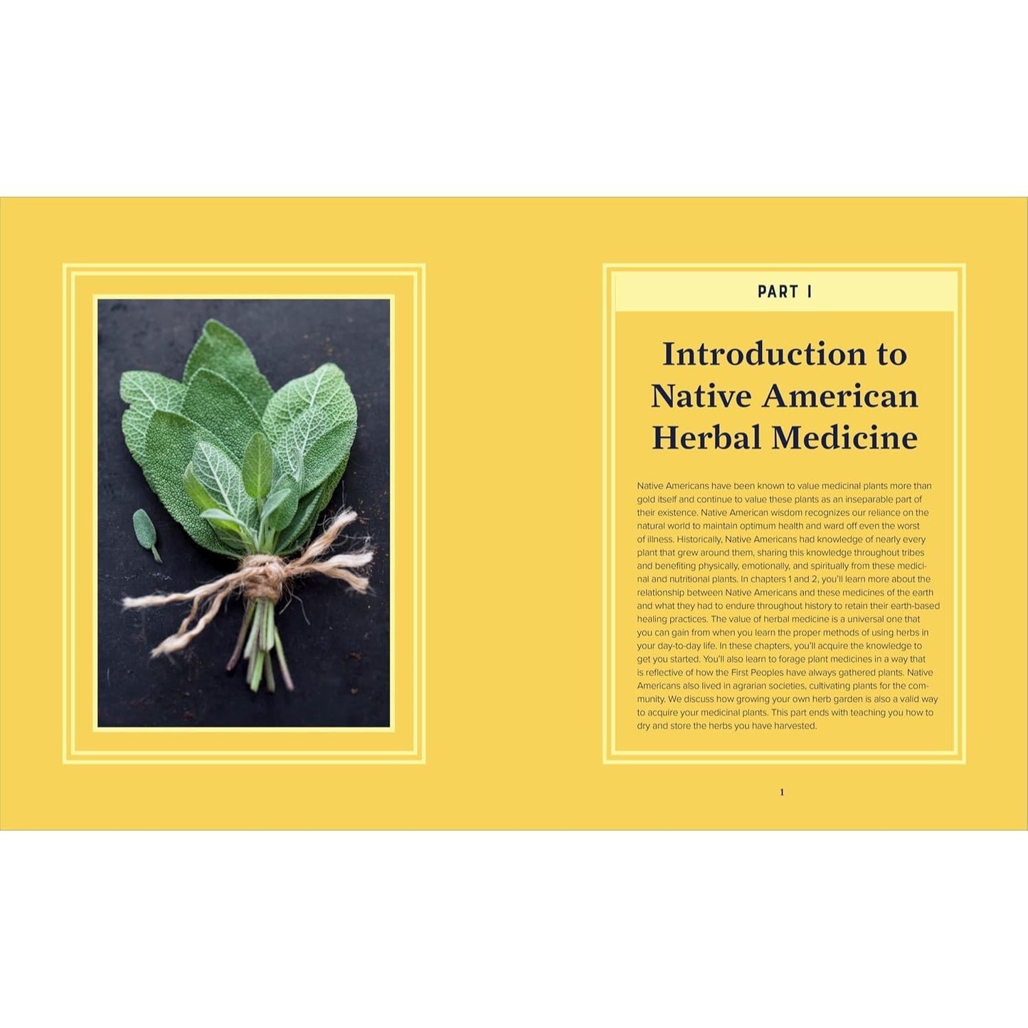A Beginner's Guide to Native American Herbal Medicine: 75 Natural Remedies for Wellness and Balance