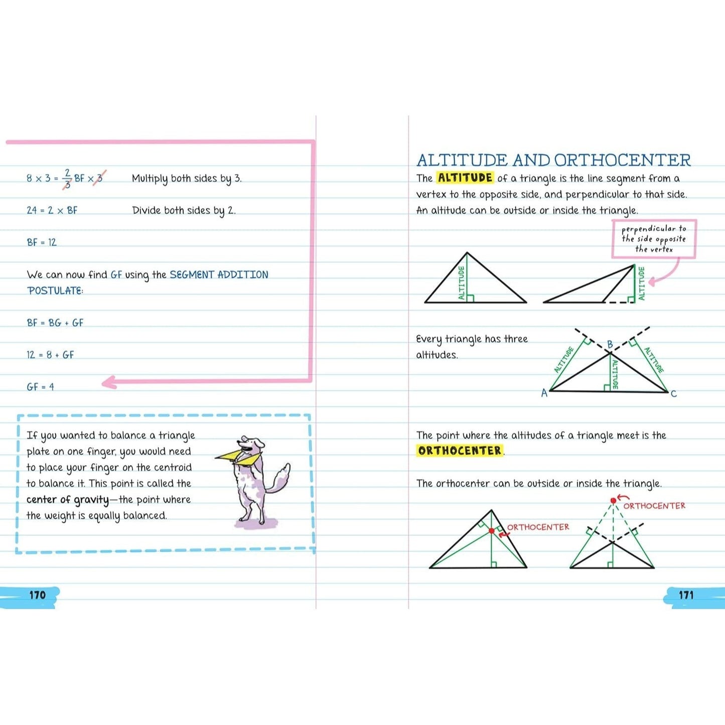 Everything You Need to Ace Geometry in One Big Fat Notebook (Big Fat Notebooks) (Spiral Bound)