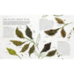 The Tea Book: Experience the Worldâ (Tm)S Finest Teas, Qualities, Infusions, Rituals, Recipes (Spiral Bound)