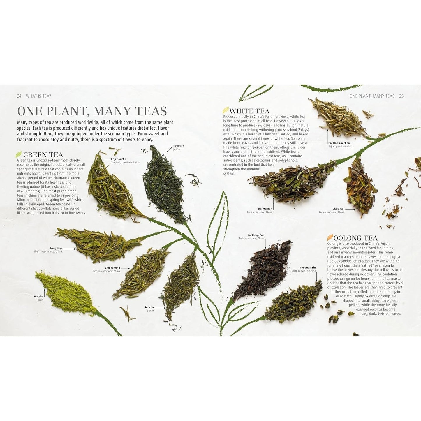 The Tea Book: Experience the Worldâ (Tm)S Finest Teas, Qualities, Infusions, Rituals, Recipes (Spiral Bound)