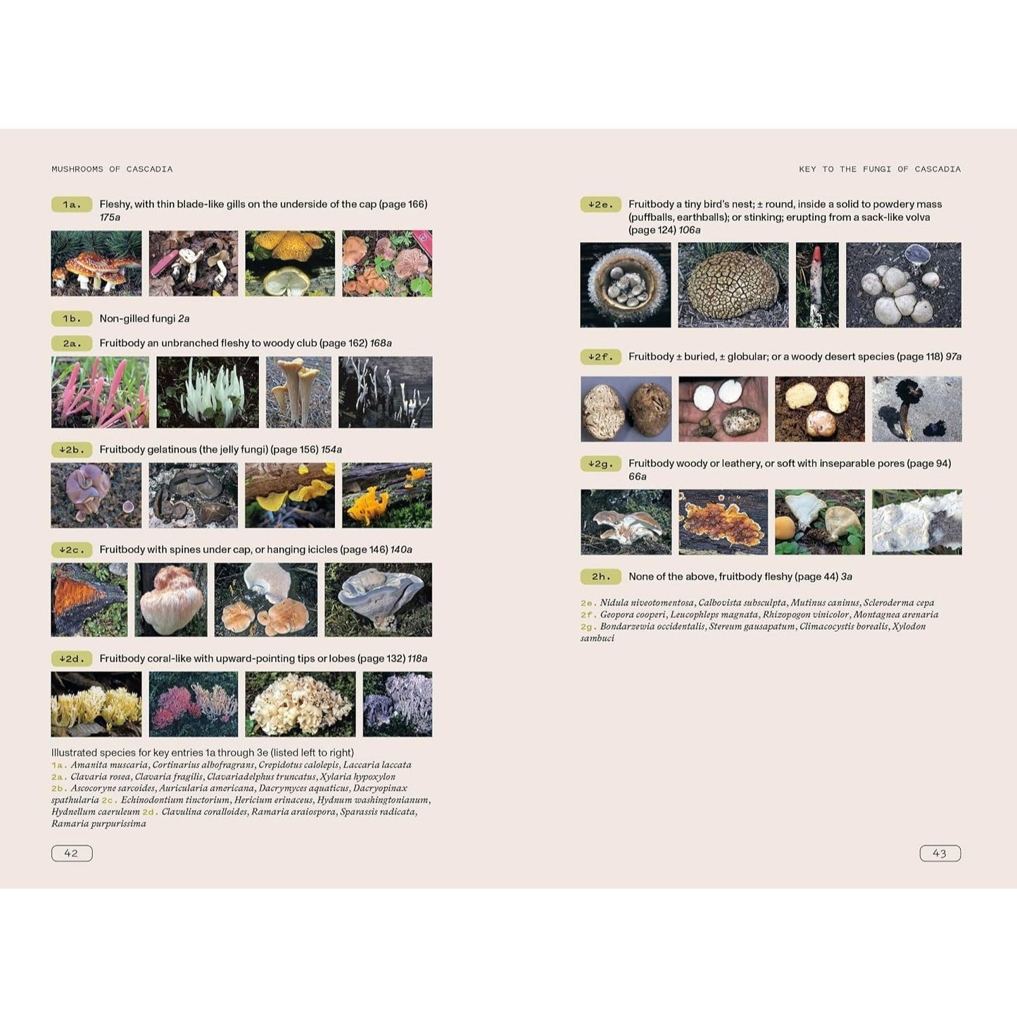 Mushrooms of Cascadia, Second Edition: An Illustrated Key to the Fungi of the Pacific Northwest