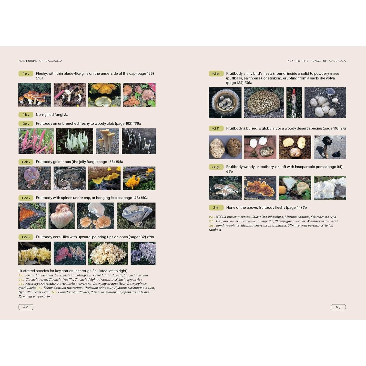 Mushrooms of Cascadia, Second Edition: An Illustrated Key to the Fungi of the Pacific Northwest