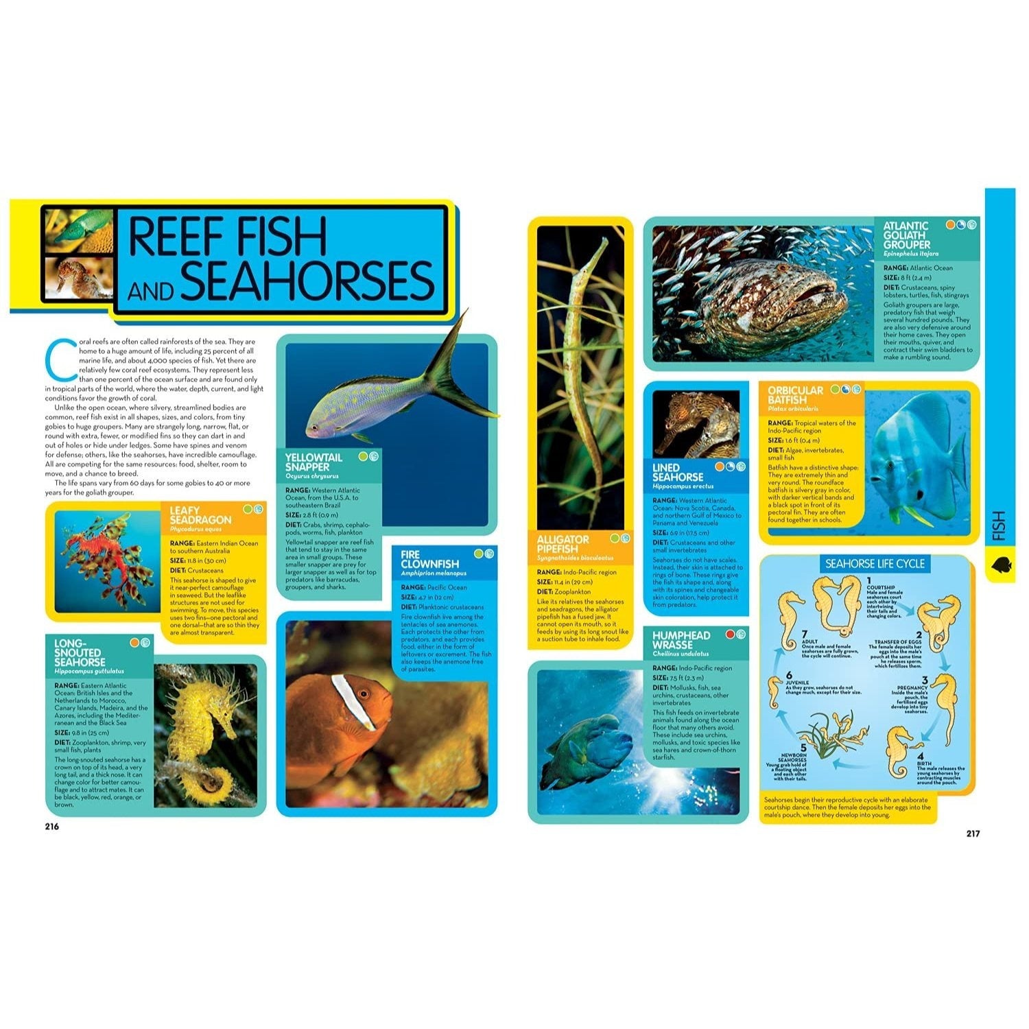 National Geographic Kids Animal Encyclopedia, 2nd Edition: 2,500 Animals with Photos, Maps, and More! (Spiral Bound)