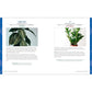 Houseplants for Beginners: A Practical Guide to Choosing, Growing, and Helping Your Plants Thrive