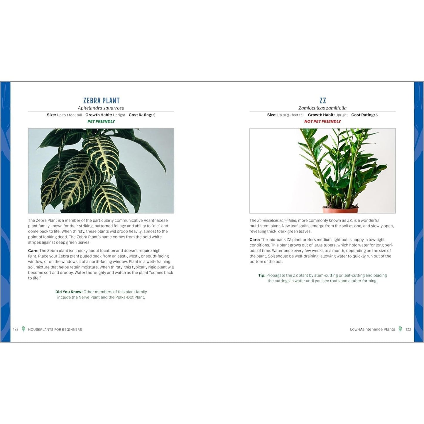 Houseplants for Beginners: A Practical Guide to Choosing, Growing, and Helping Your Plants Thrive