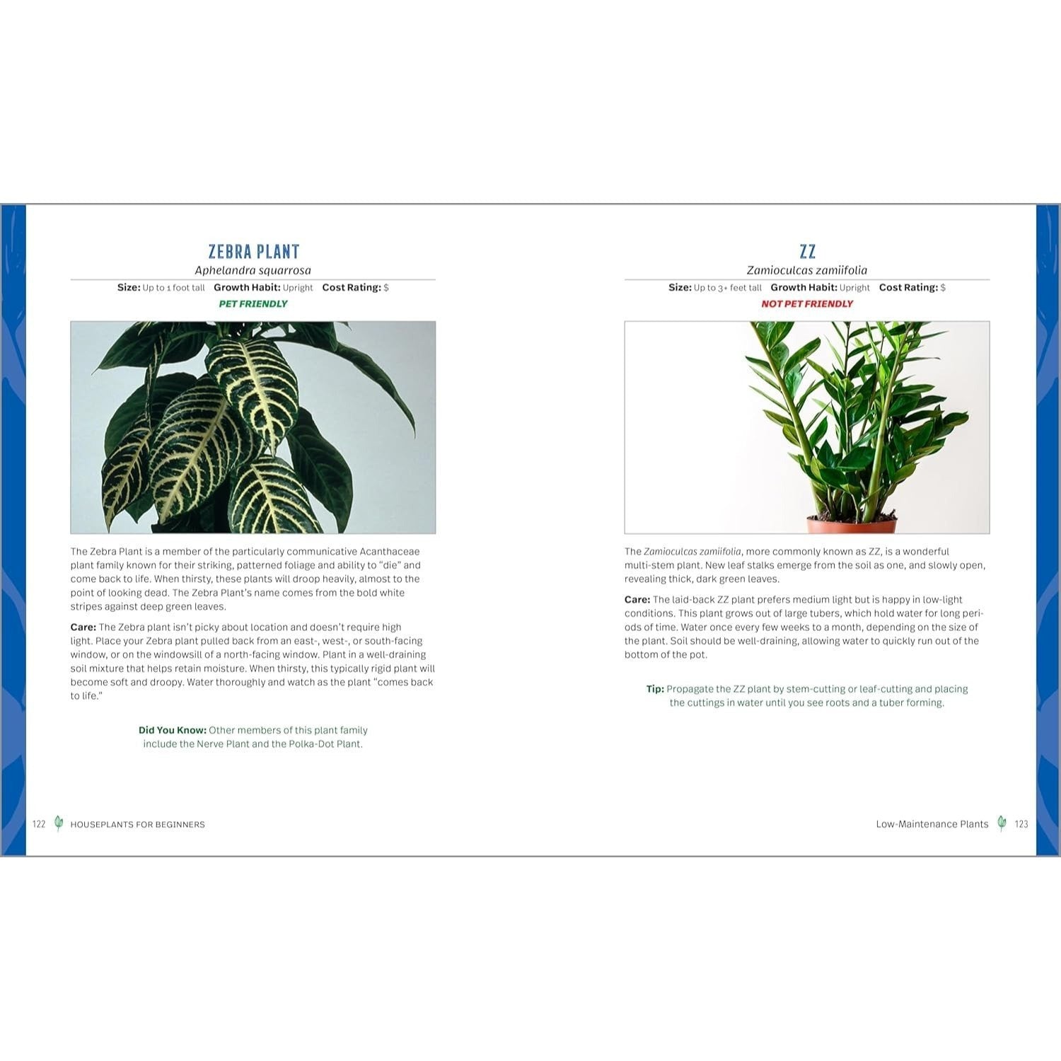 Houseplants for Beginners: A Practical Guide to Choosing, Growing, and Helping Your Plants Thrive