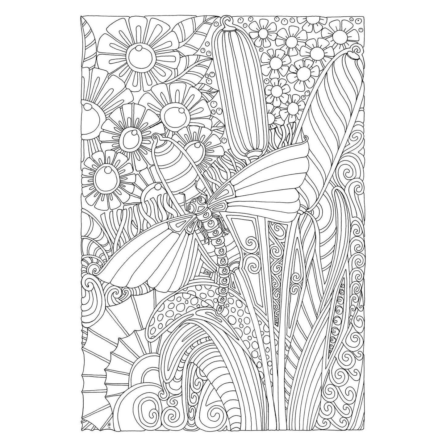 Creative Haven Entangled Dragonflies Coloring Book