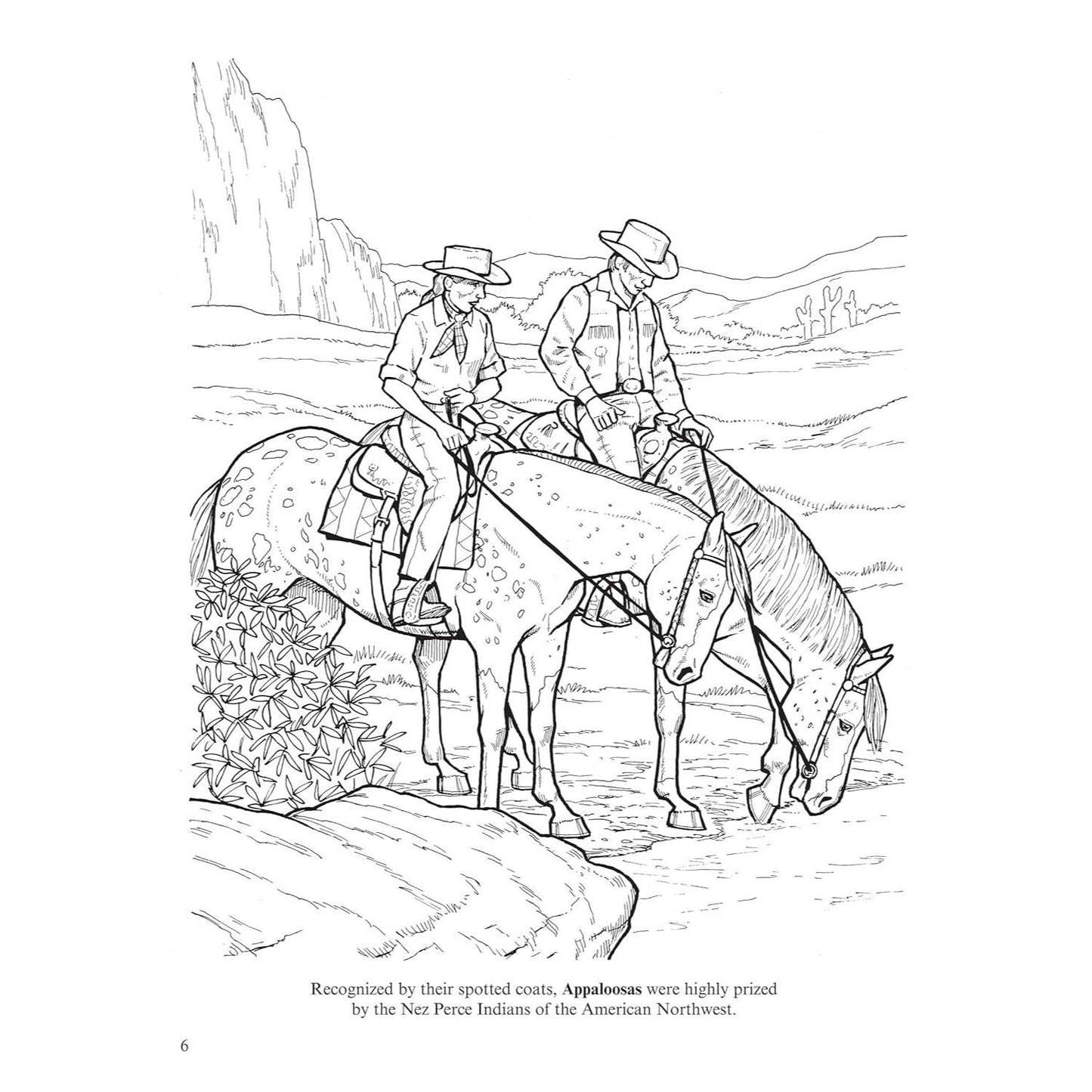 Big Book of Horses to Color