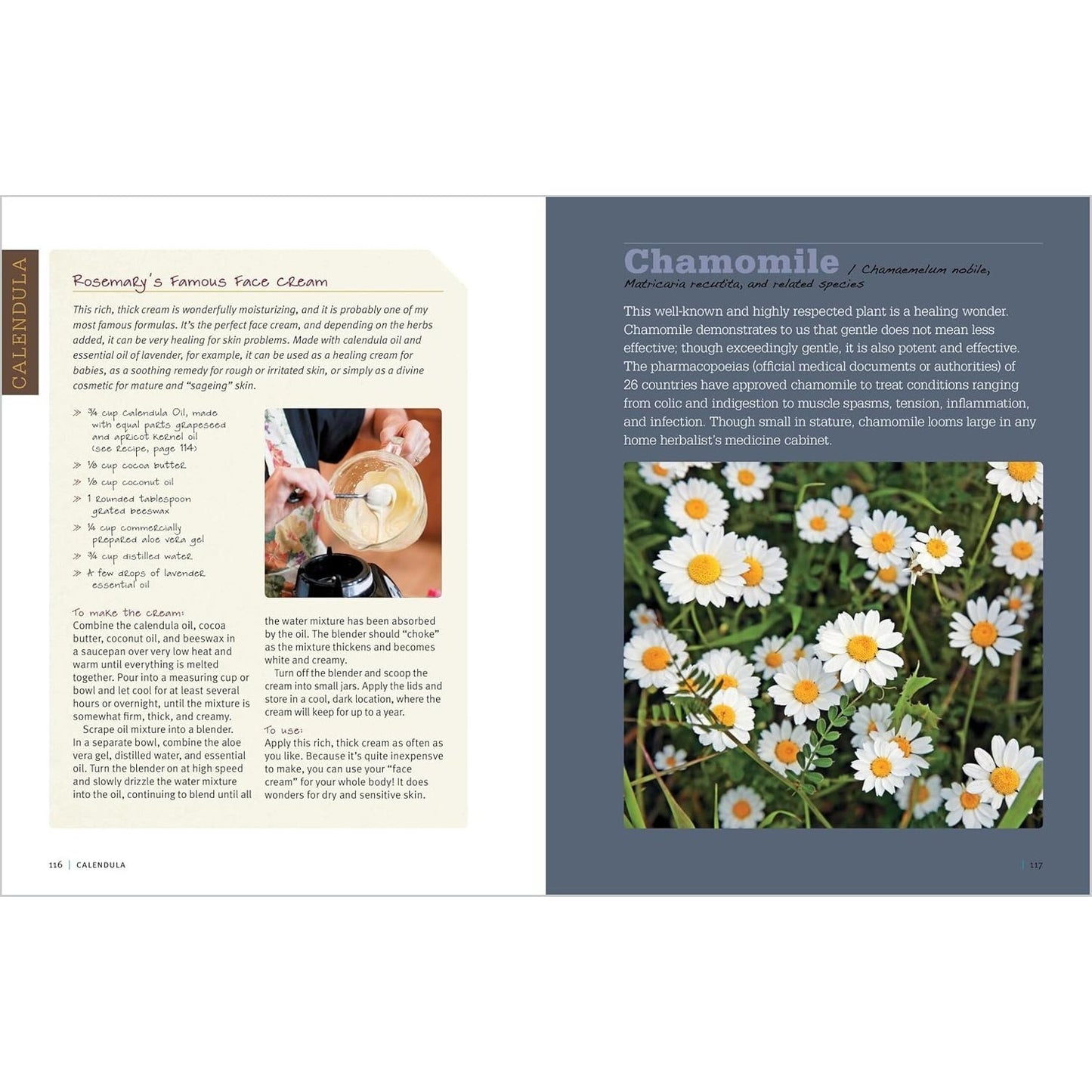 Rosemary Gladstar's Medicinal Herbs: A Beginner's Guide: 33 Healing Herbs to Know, Grow, and Use (Spiral Bound)