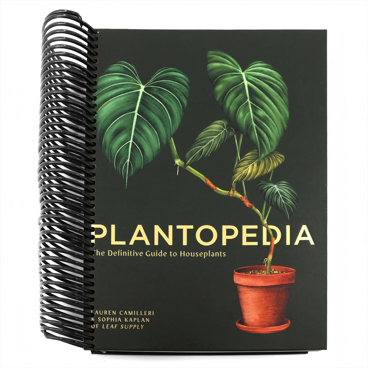 Plantopedia: The Definitive Guide to Houseplants (Spiral Bound)