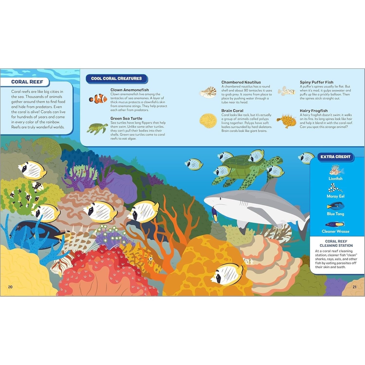 Search the Ocean, Find the Animals