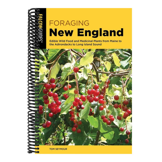 Foraging New England