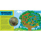 Little Kids First Big Book of Science (National Geographic Little Kids First Big Books) (Spiral Bound)