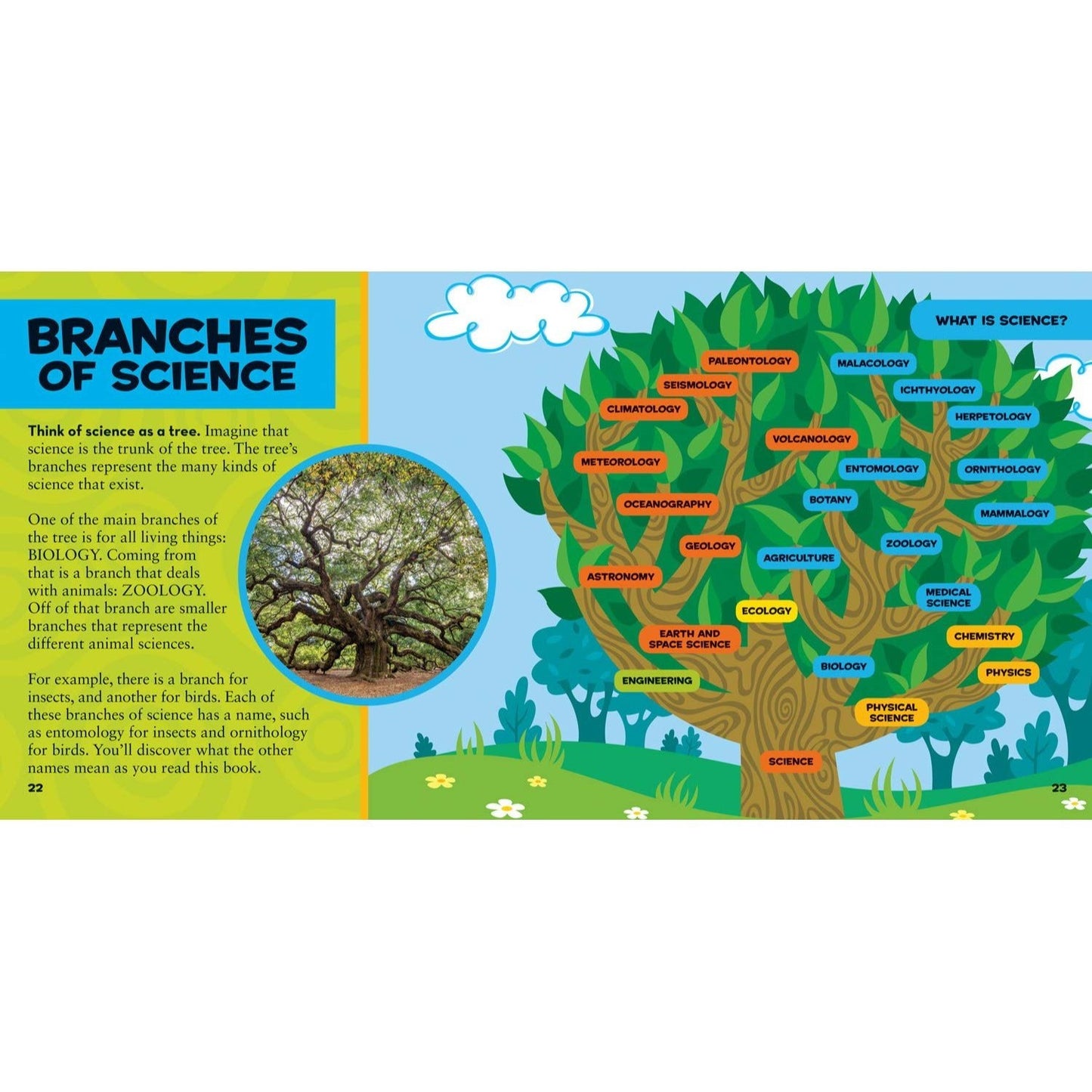 Little Kids First Big Book of Science (National Geographic Little Kids First Big Books) (Spiral Bound)