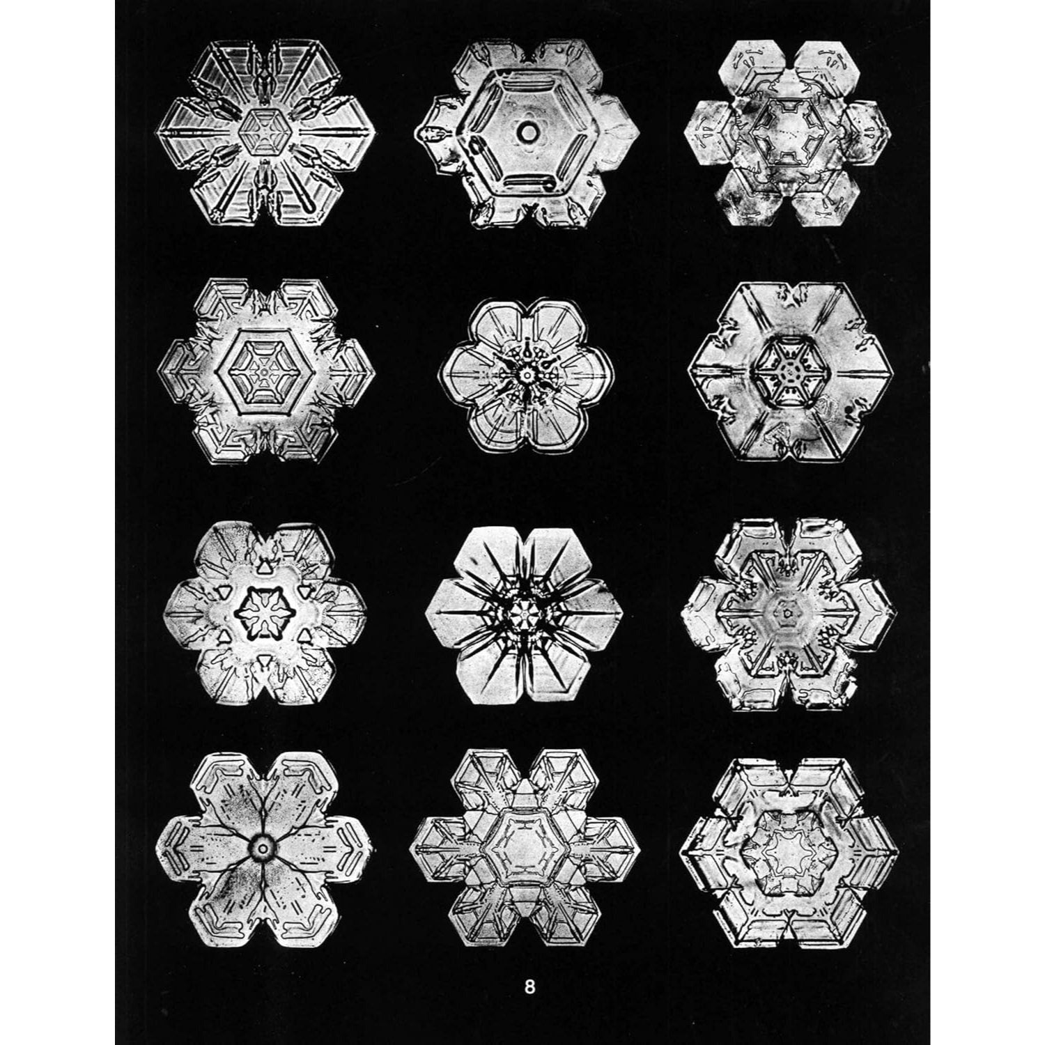 Snowflakes in Photographs