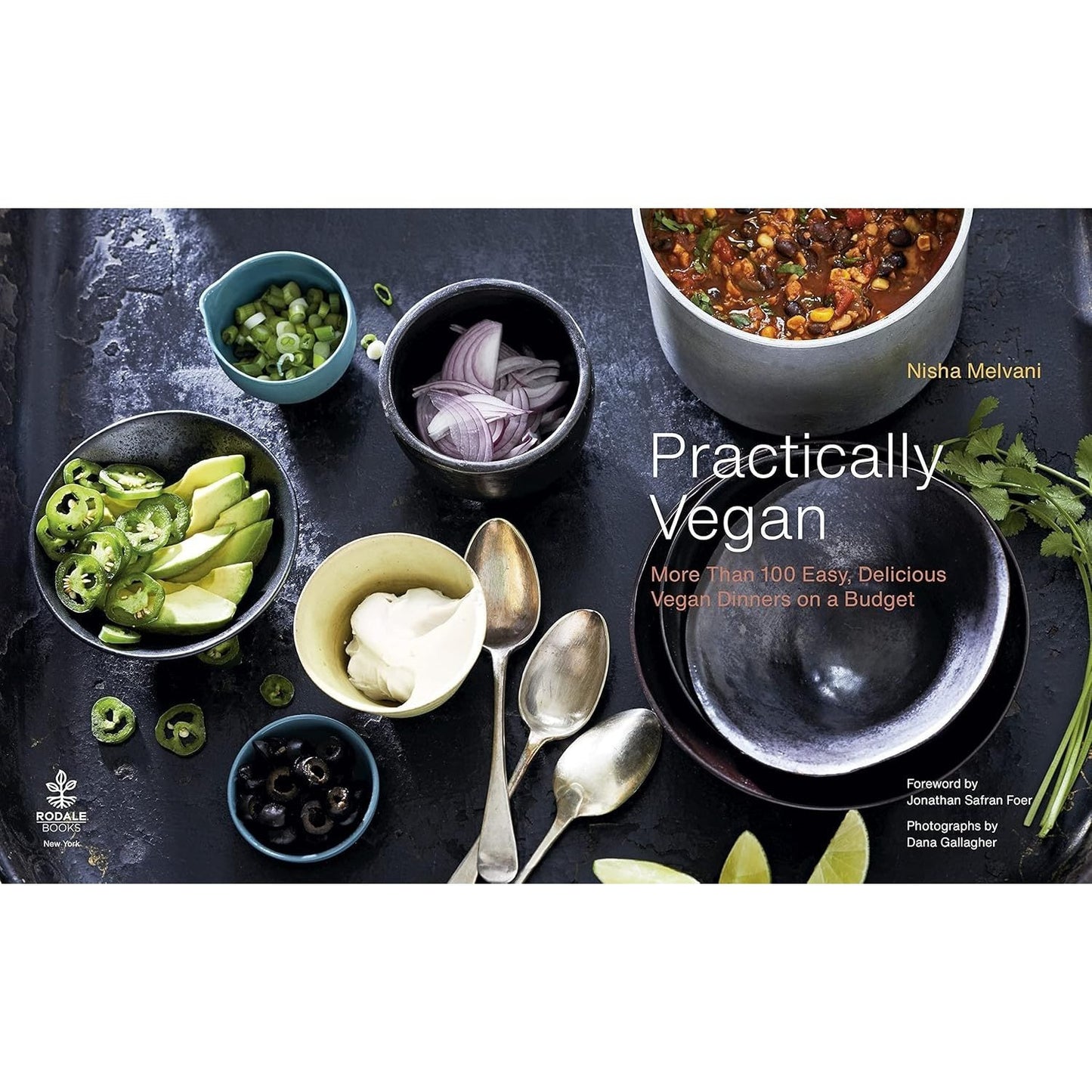 Practically Vegan: More Than 100 Easy, Delicious Vegan Dinners on a Budget: A Cookbook (Spiral Bound)