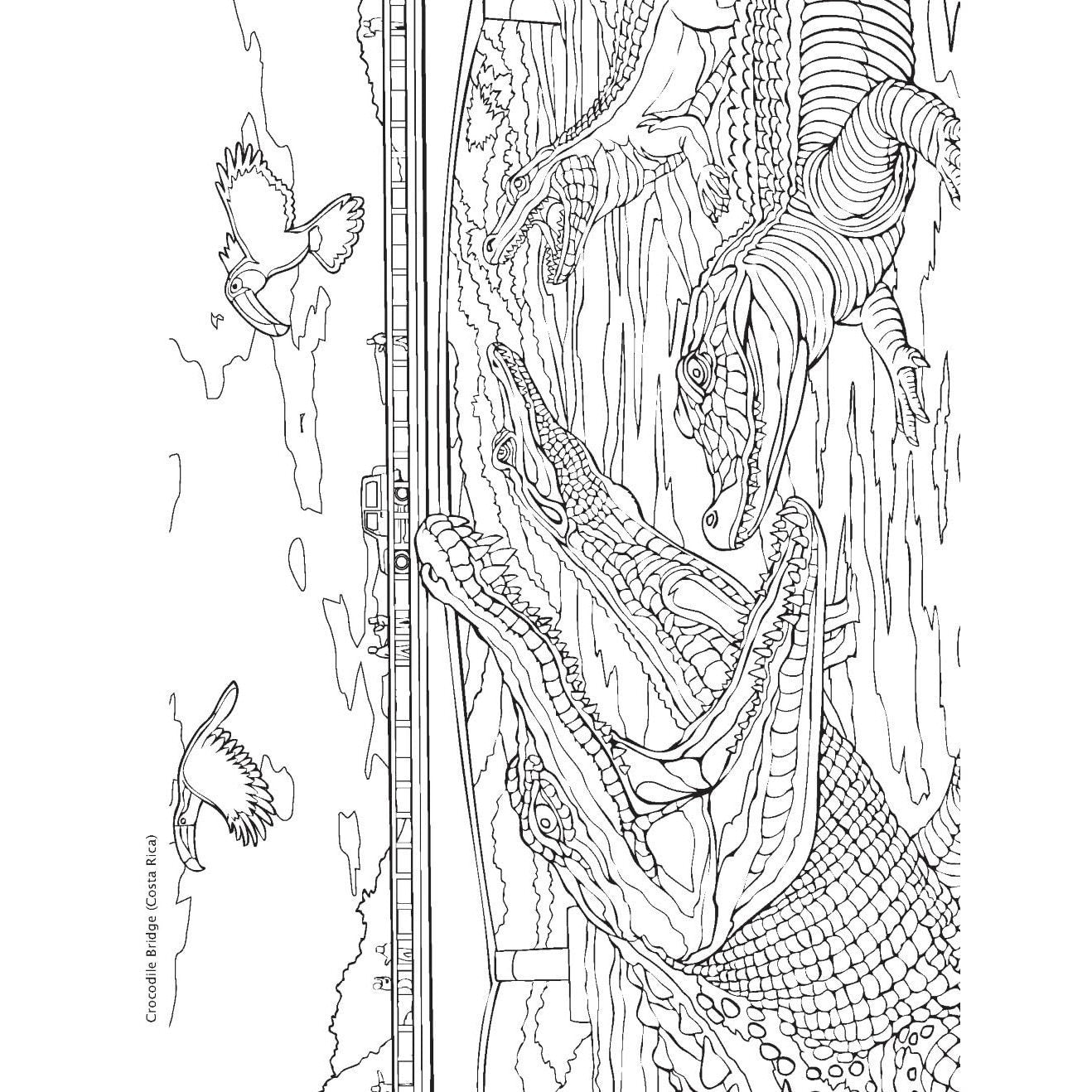 Creative Haven Bridges Coloring Book