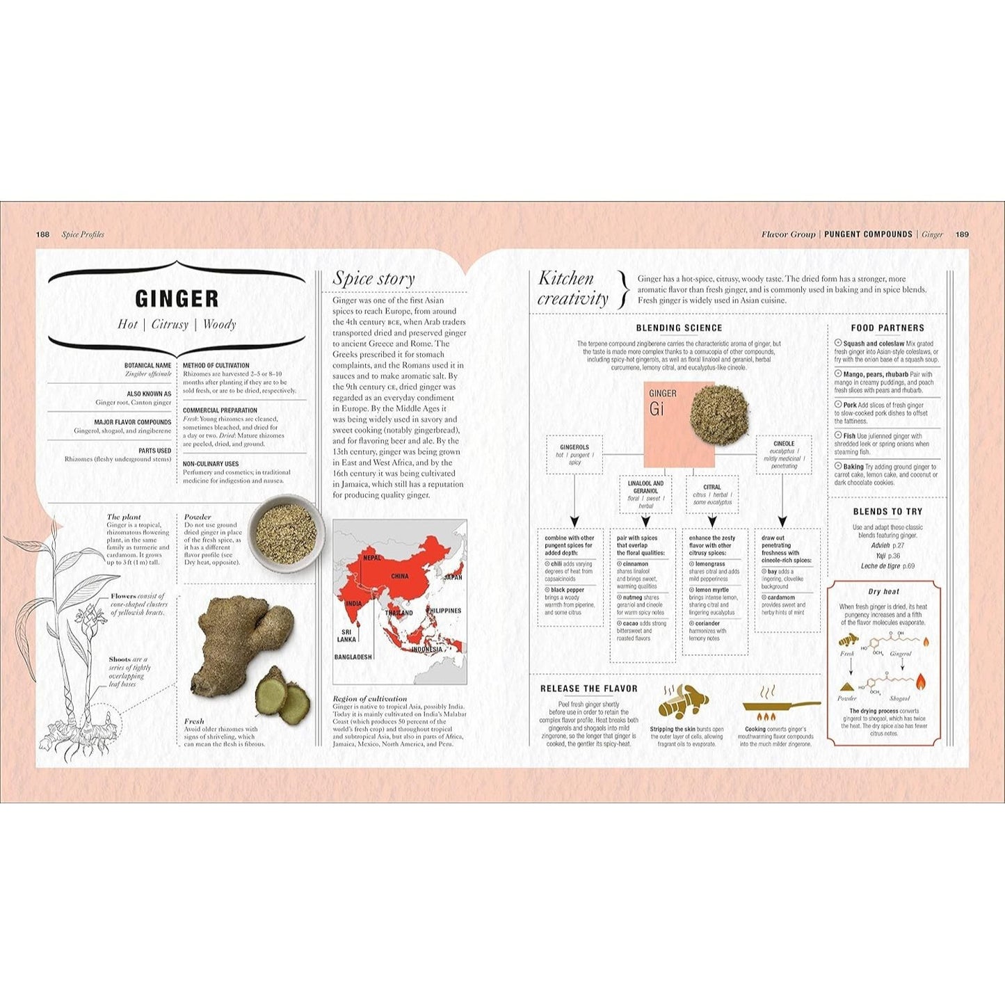 The Science of Spice: Understand Flavor Connections and Revolutionize Your Cooking (Spiral Bound)