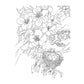 Country Scenes Coloring Book