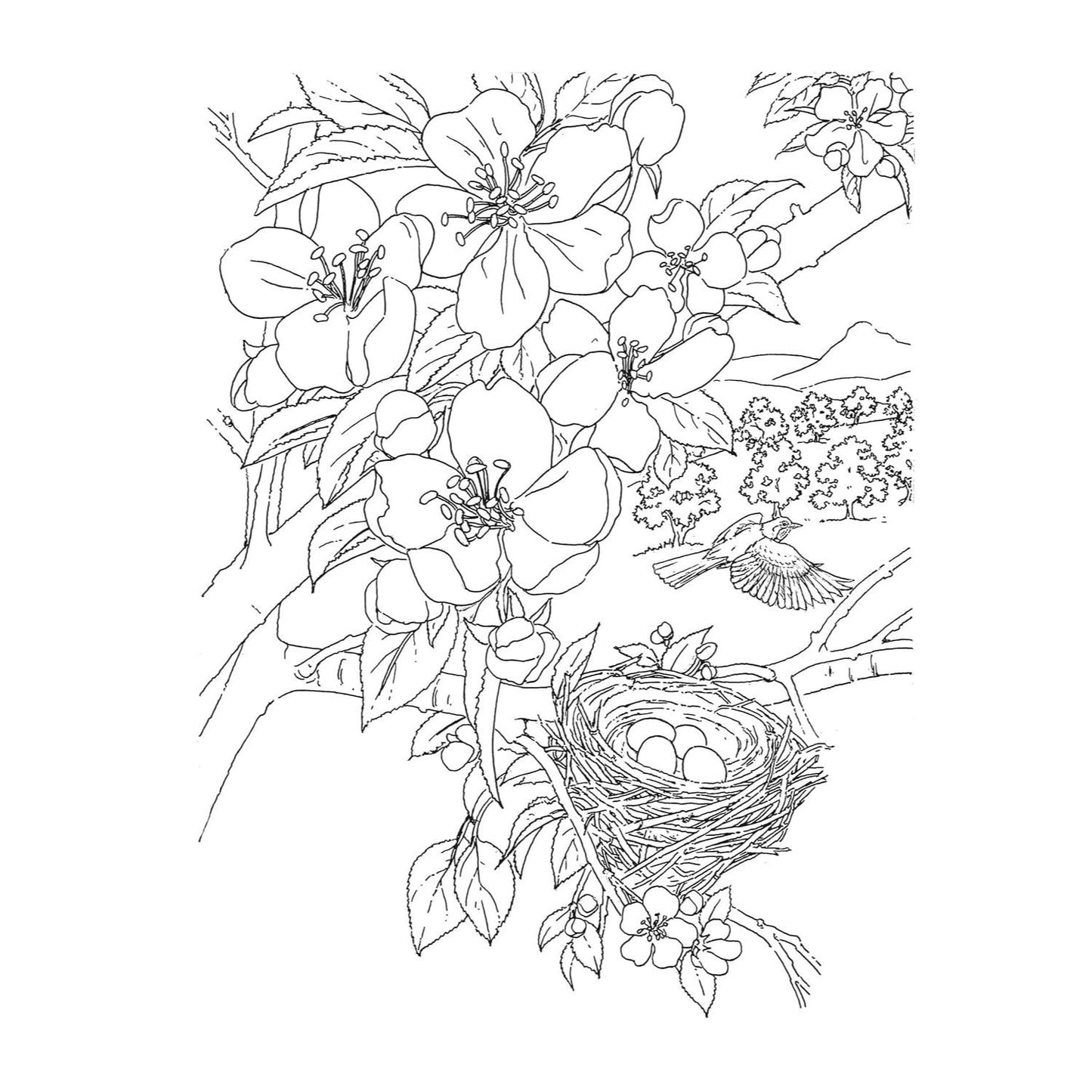 Country Scenes Coloring Book