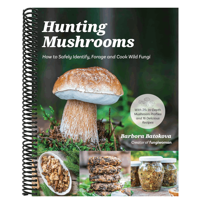Hunting Mushrooms: How to Safely Identify, Forage and Cook Wild Fungi