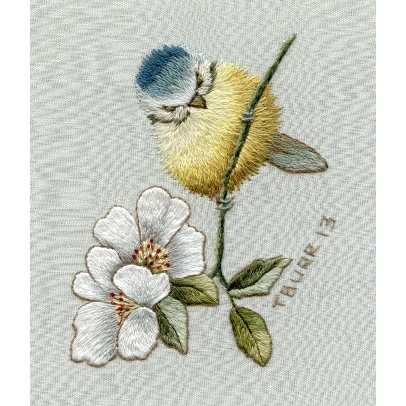 Trish Burr's Embroidery Transfers: Over 70 Iron-On Designs