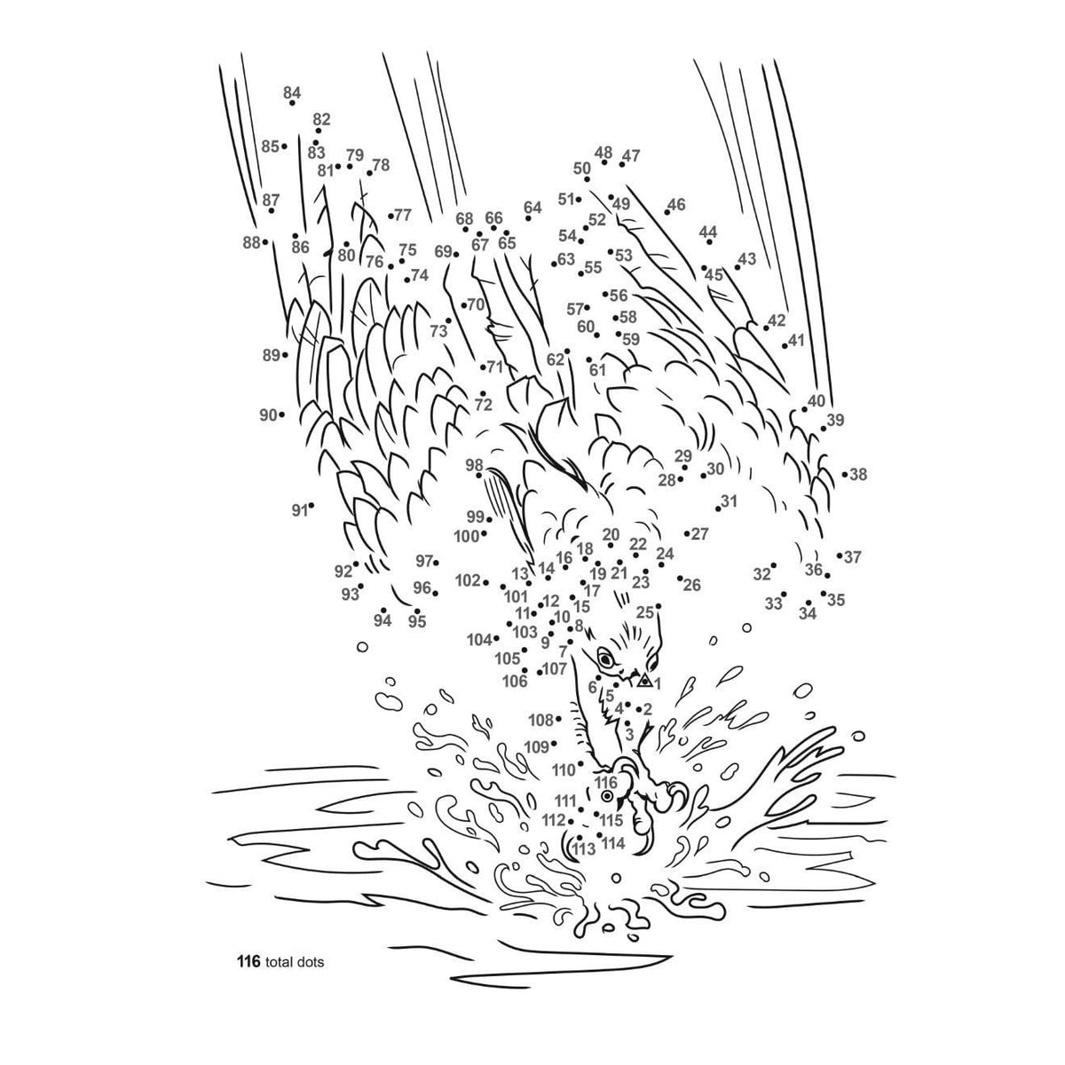 Birds Dot-To-Dot Coloring Book