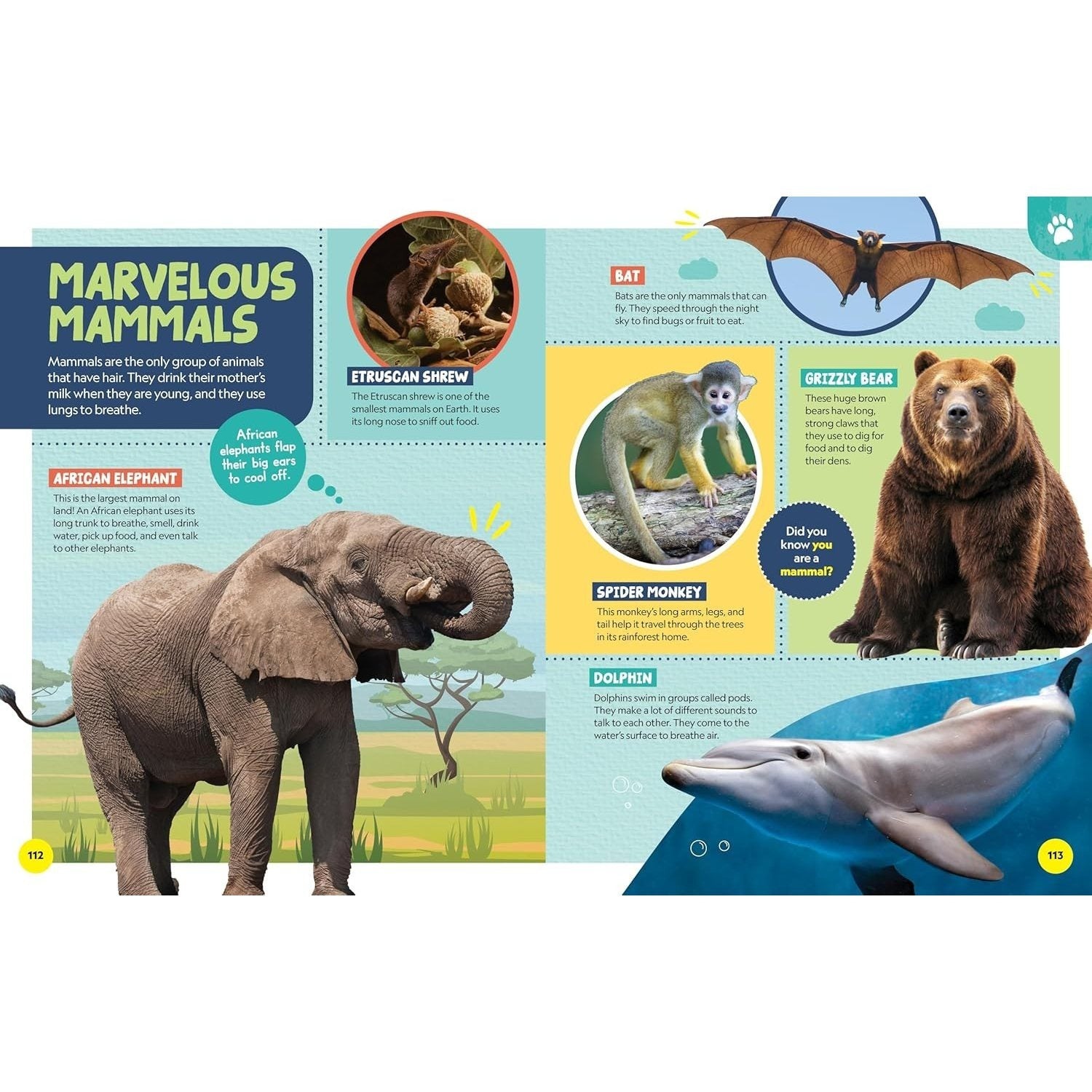 National Geographic Little Kids First Encyclopedia of Almost Everything