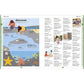 Children's Illustrated Thesaurus (DK Children's Illustrated Reference) (Spiral Bound)