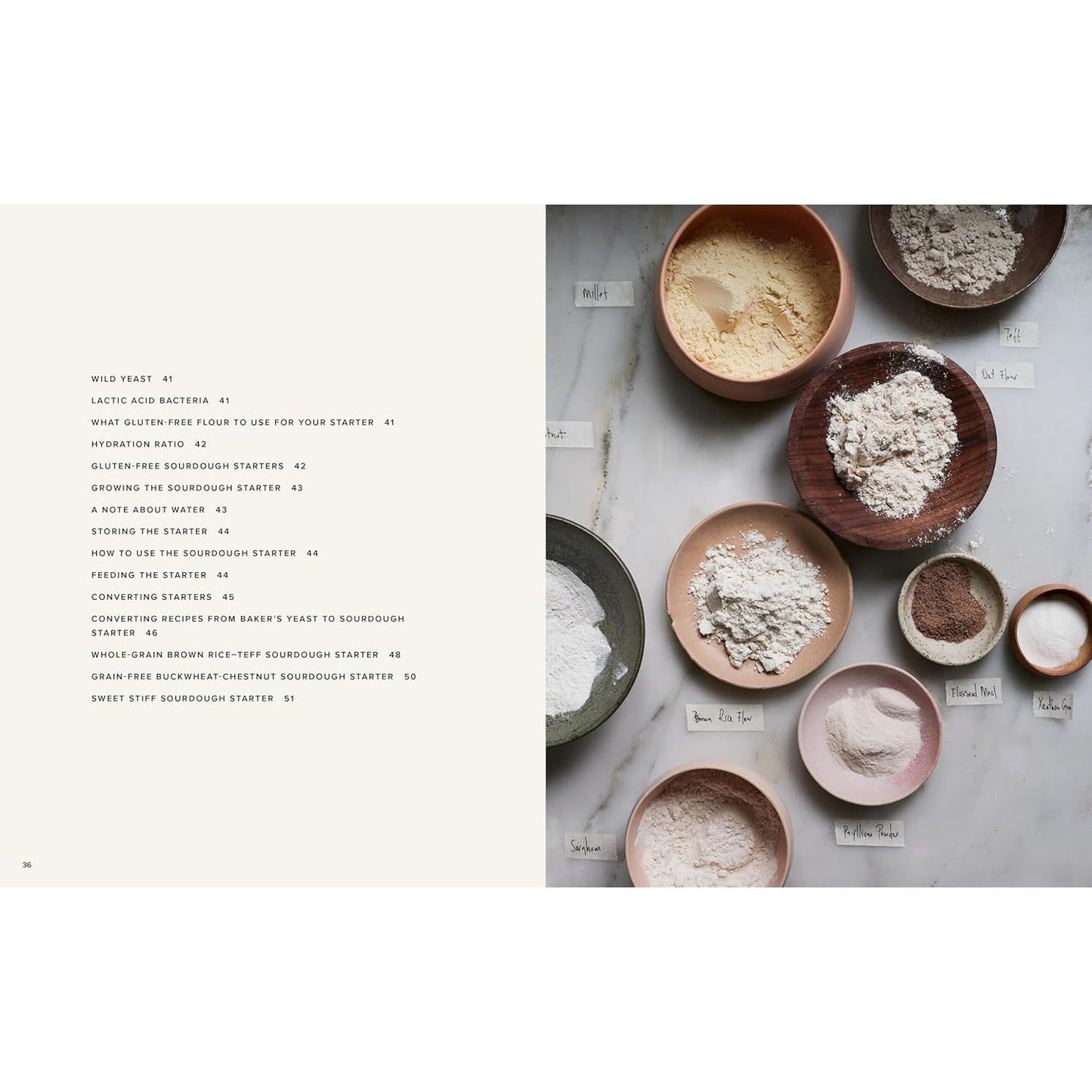 The Art of Gluten-Free Bread: Groundbreaking Recipes for Artisanal Breads and Pastries (Spiral Bound)