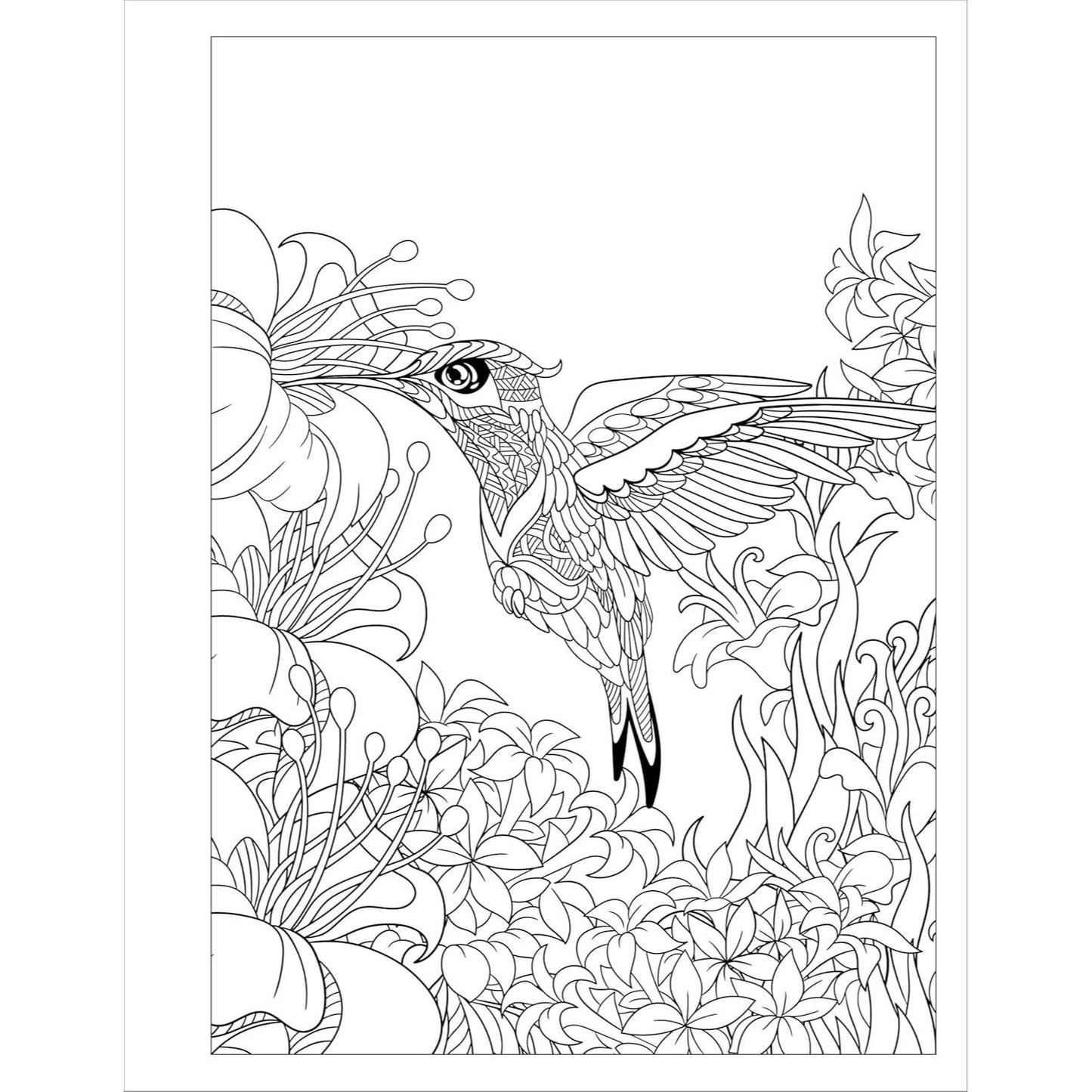 Stress Relief Flower Coloring Book for Adults: Beautiful and Relaxing Floral Designs, Arrangements, and Bouquets (Spiral Bound)