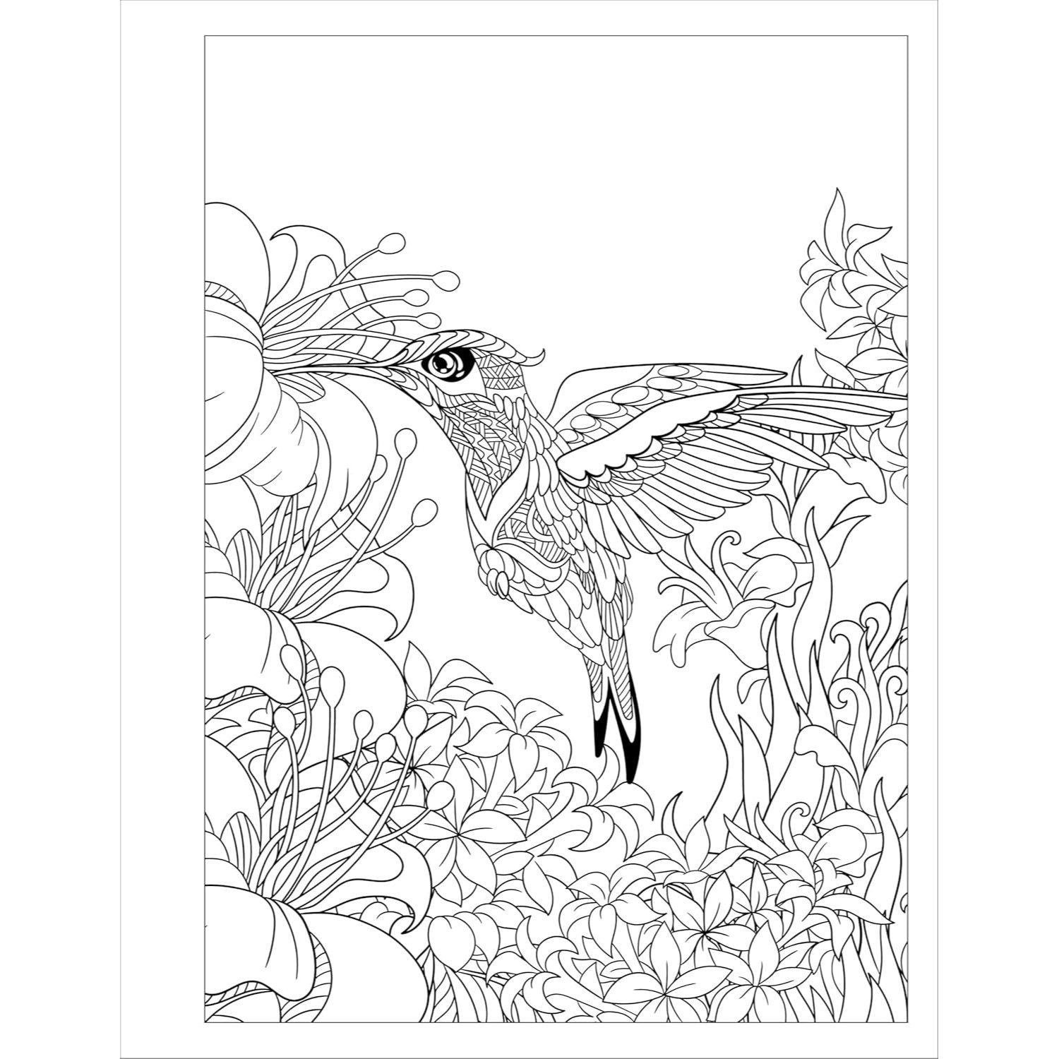 Stress Relief Flower Coloring Book for Adults: Beautiful and Relaxing Floral Designs, Arrangements, and Bouquets (Spiral Bound)