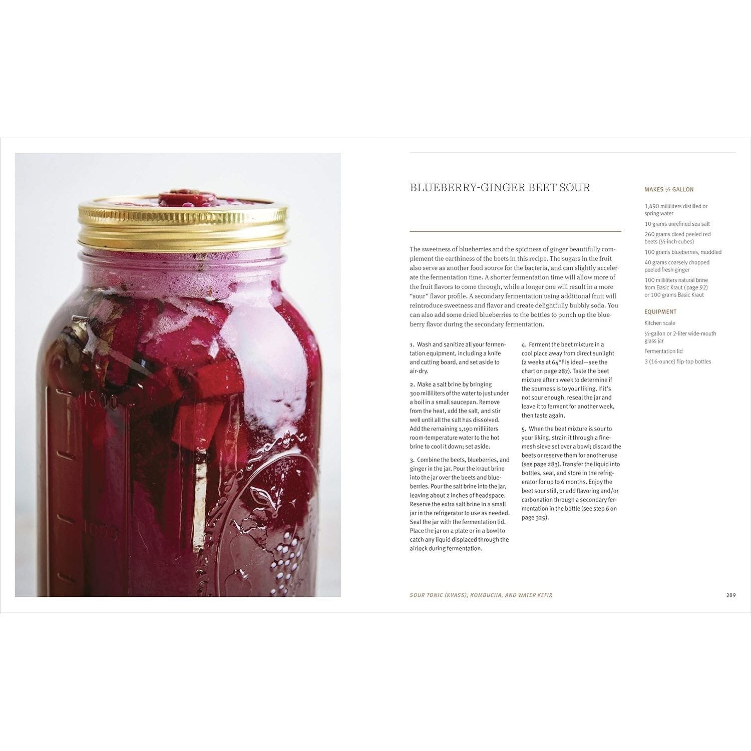 The Farmhouse Culture Guide to Fermenting: Crafting Live-Cultured Foods and Drinks with 100 Recipes from Kimchi to Kombucha[a Cookbook] (Spiral Bound)