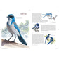 What It's Like to Be a Bird: From Flying to Nesting, Eating to Singing--What Birds Are Doing, and Why (Spiral Bound)