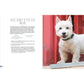 Home Cooking for Your Dog: 75 Holistic Recipes for a Healthier Dog