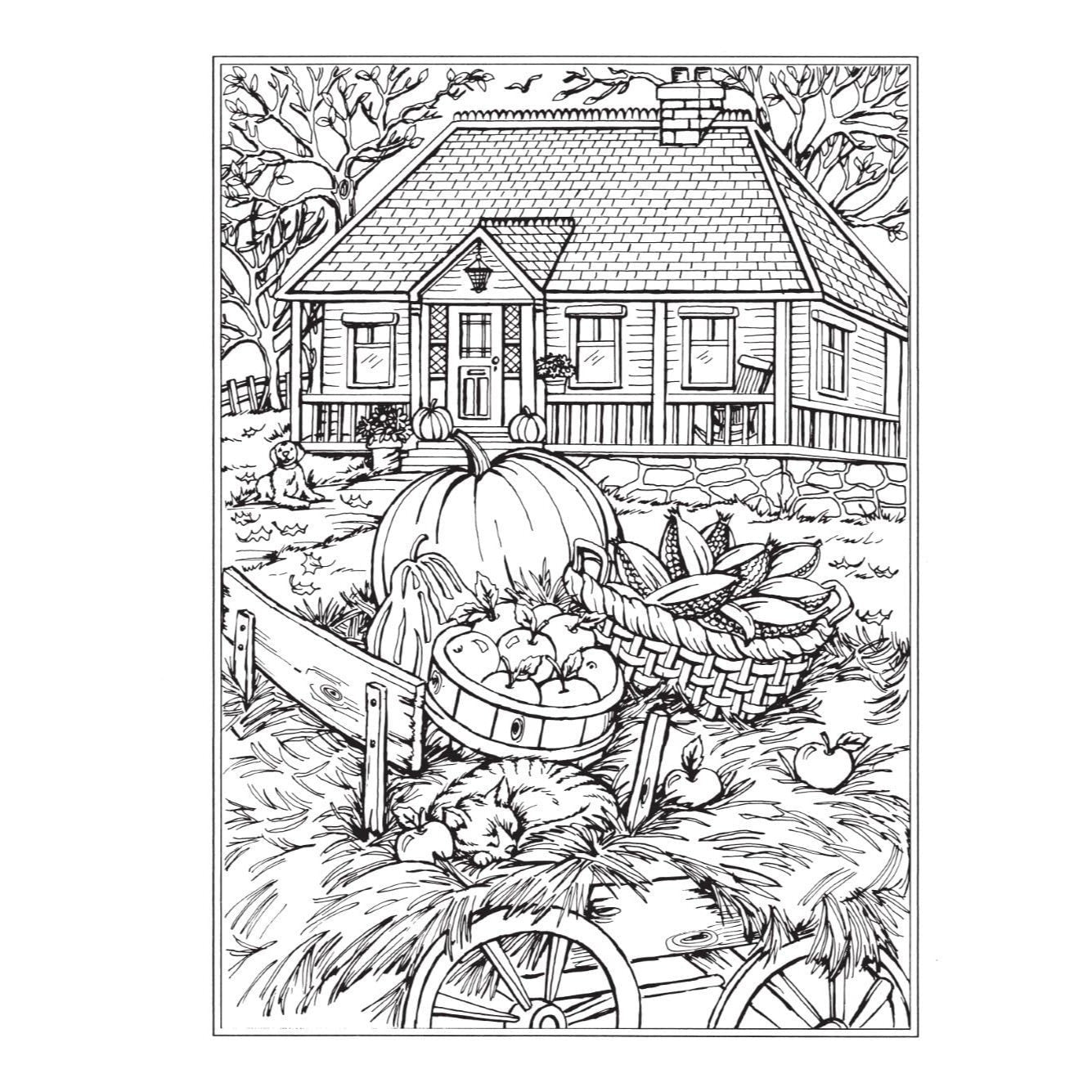 Creative Haven Autumn Scenes Coloring Book