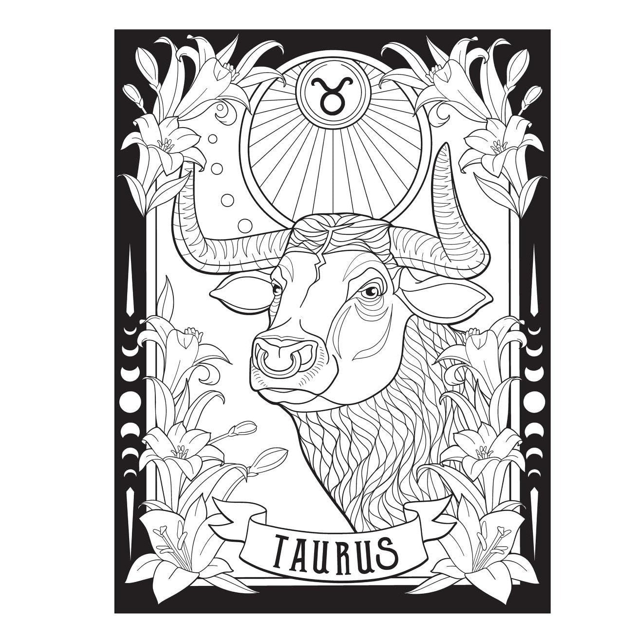 Creative Haven Astrology Coloring Book