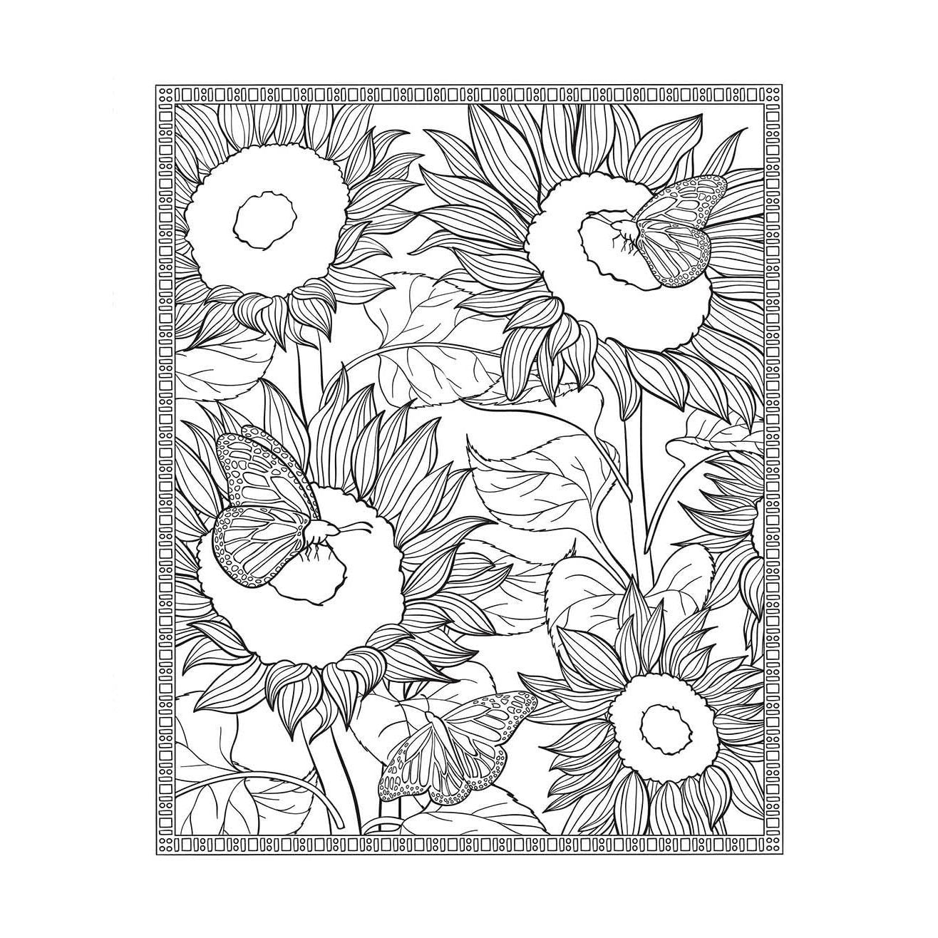 Dream: Relaxing Images to Color