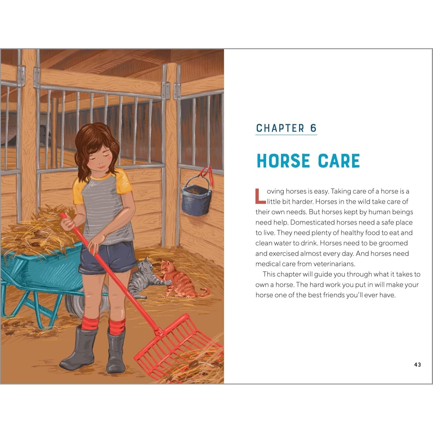 All about Horses: A Kid's Guide to Breeds, Care, Riding, and More!