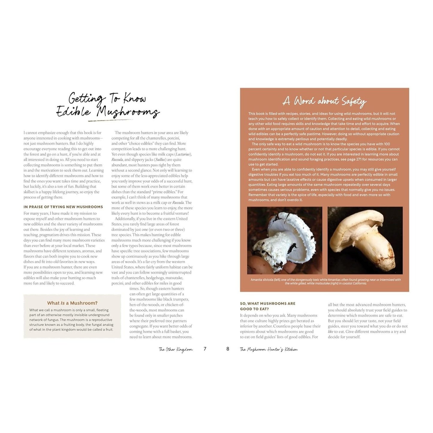 The Mushroom Hunter's Kitchen: A Culinary Homage to Wild and Cultivated Mushrooms - With 120 Recipes