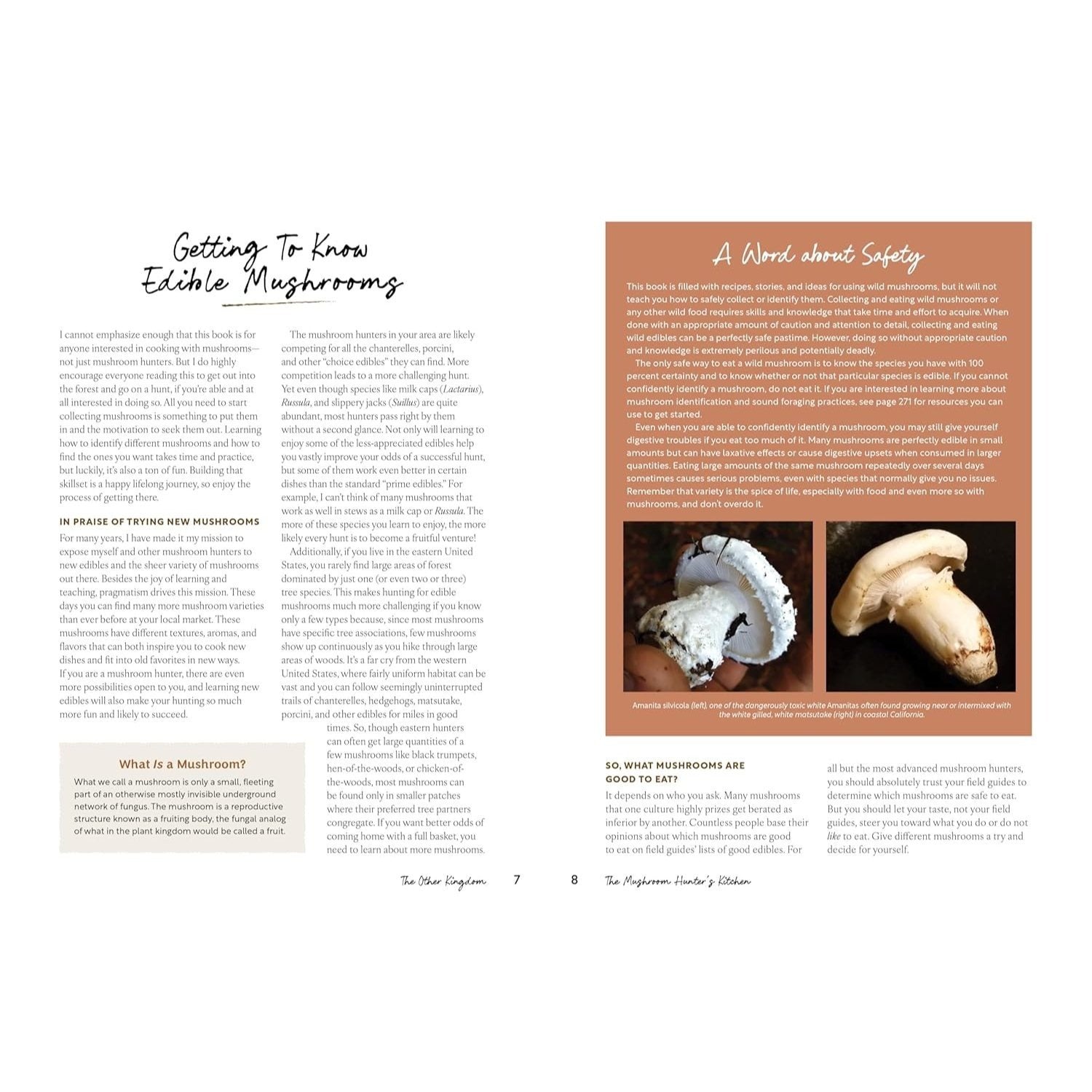 The Mushroom Hunter's Kitchen: A Culinary Homage to Wild and Cultivated Mushrooms - With 120 Recipes