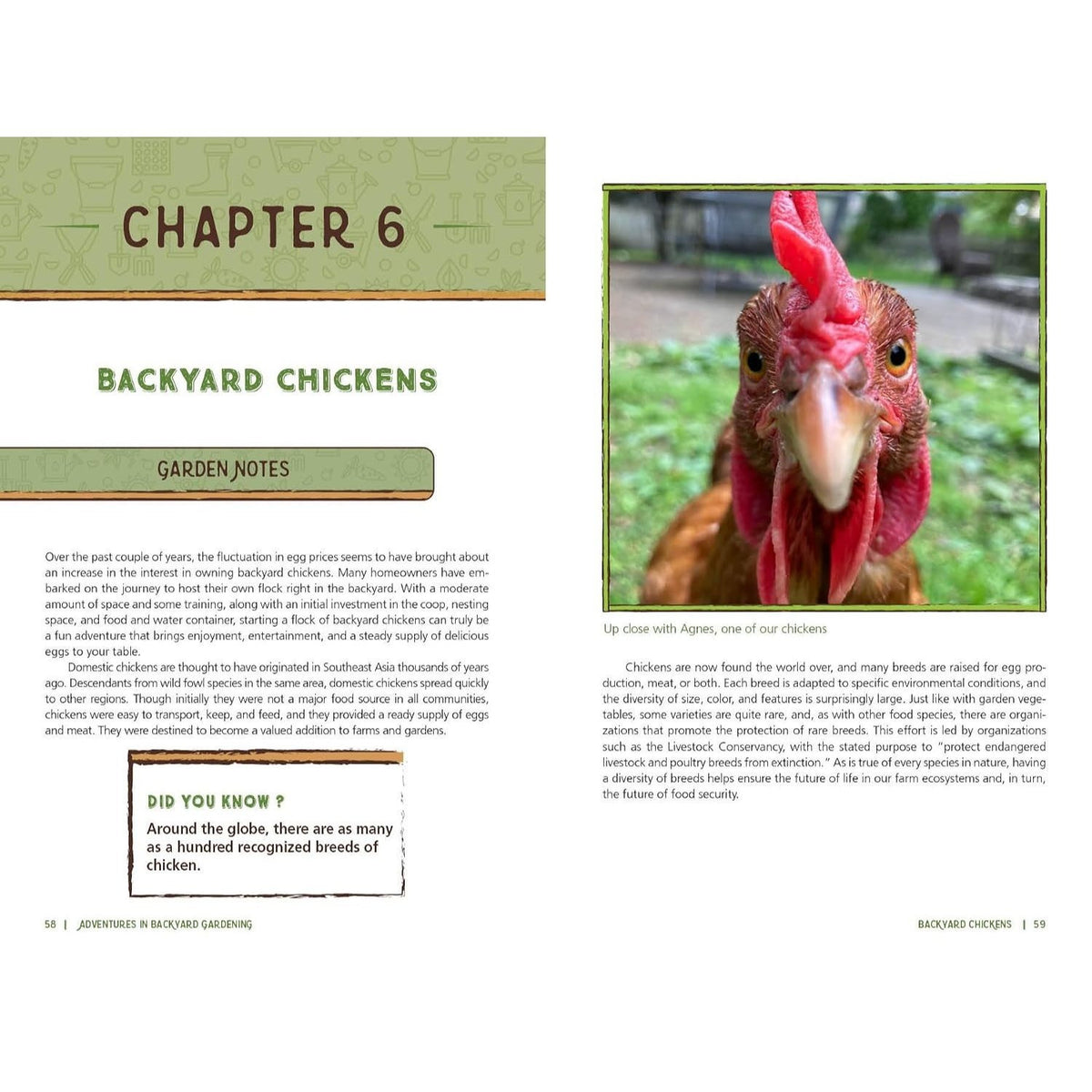Adventures in Backyard Gardening: Inspiring Young Gardeners to Grow Their Own Food (an Illustrated Step-By-Step Guide to Agrigulture, Composting, Beek
