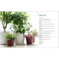 Houseplants for Beginners: A Practical Guide to Choosing, Growing, and Helping Your Plants Thrive