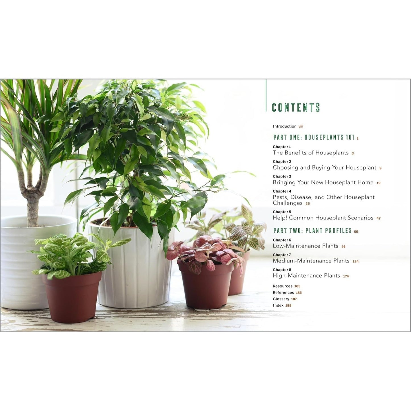 Houseplants for Beginners: A Practical Guide to Choosing, Growing, and Helping Your Plants Thrive