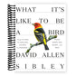 What It's Like to Be a Bird: From Flying to Nesting, Eating to Singing--What Birds Are Doing, and Why (Spiral Bound)