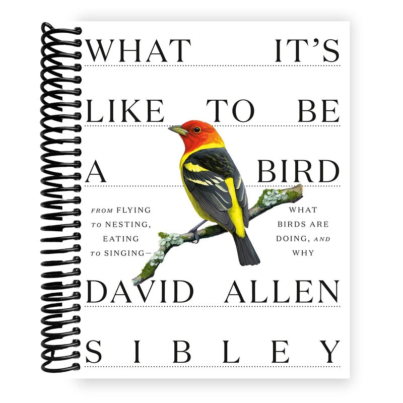 What It's Like to Be a Bird: From Flying to Nesting, Eating to Singing--What Birds Are Doing, and Why (Spiral Bound)
