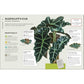How Not to Kill Your Houseplant New Edition: Survival Tips for the Horticulturally Challenged