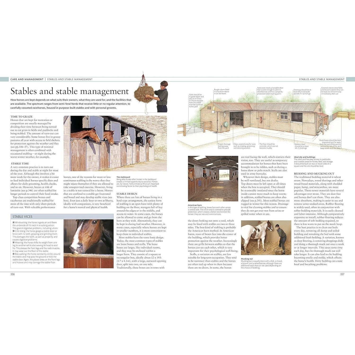 The Horse Encyclopedia (DK Pet Encyclopedias)