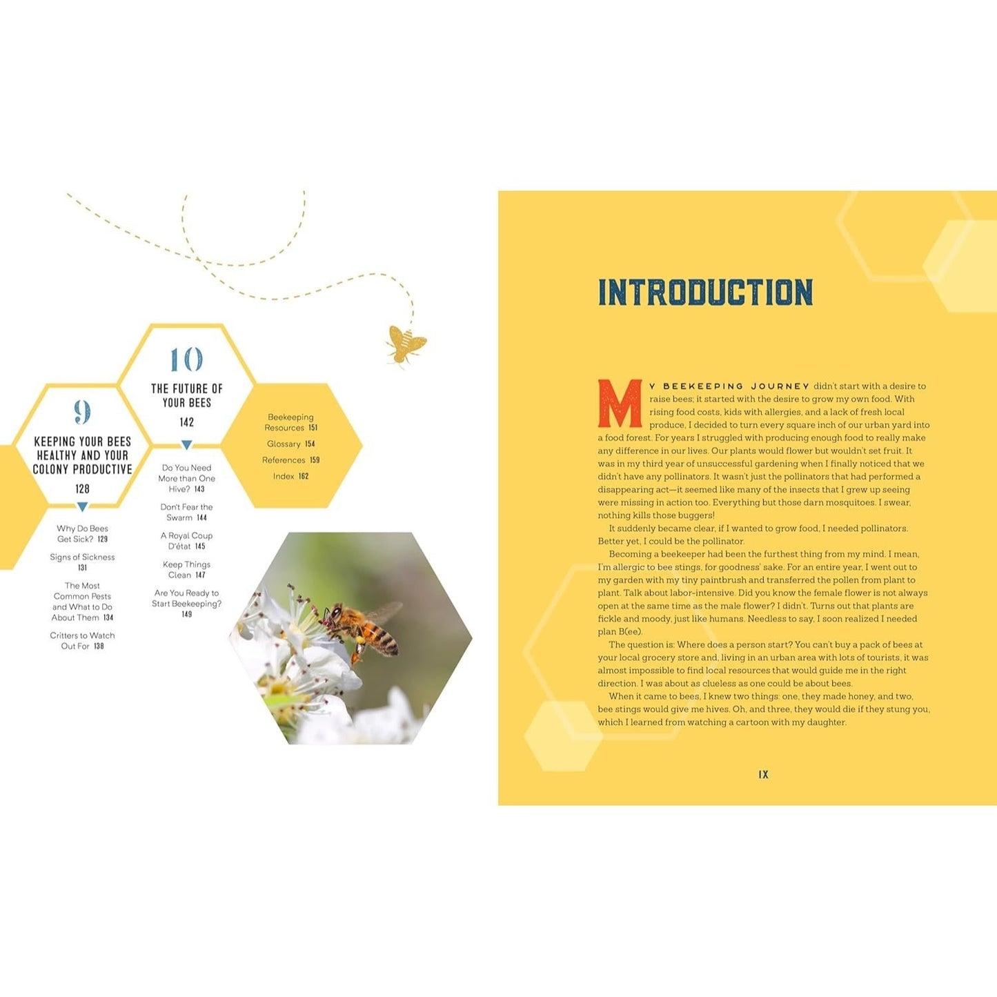Beekeeping for Beginners: How to Raise Your First Bee Colonies (Spiral Bound)